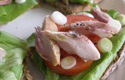 Mackerel with Summer Salad