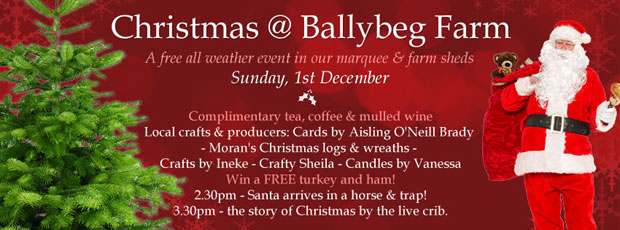 Join us for our Christmas @ Ballybeg Farm event